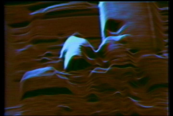 Steina + Woody Vasulka on TV — Vasulka Video