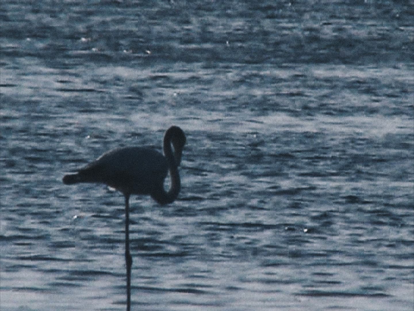 Still from Memories of an Empty House