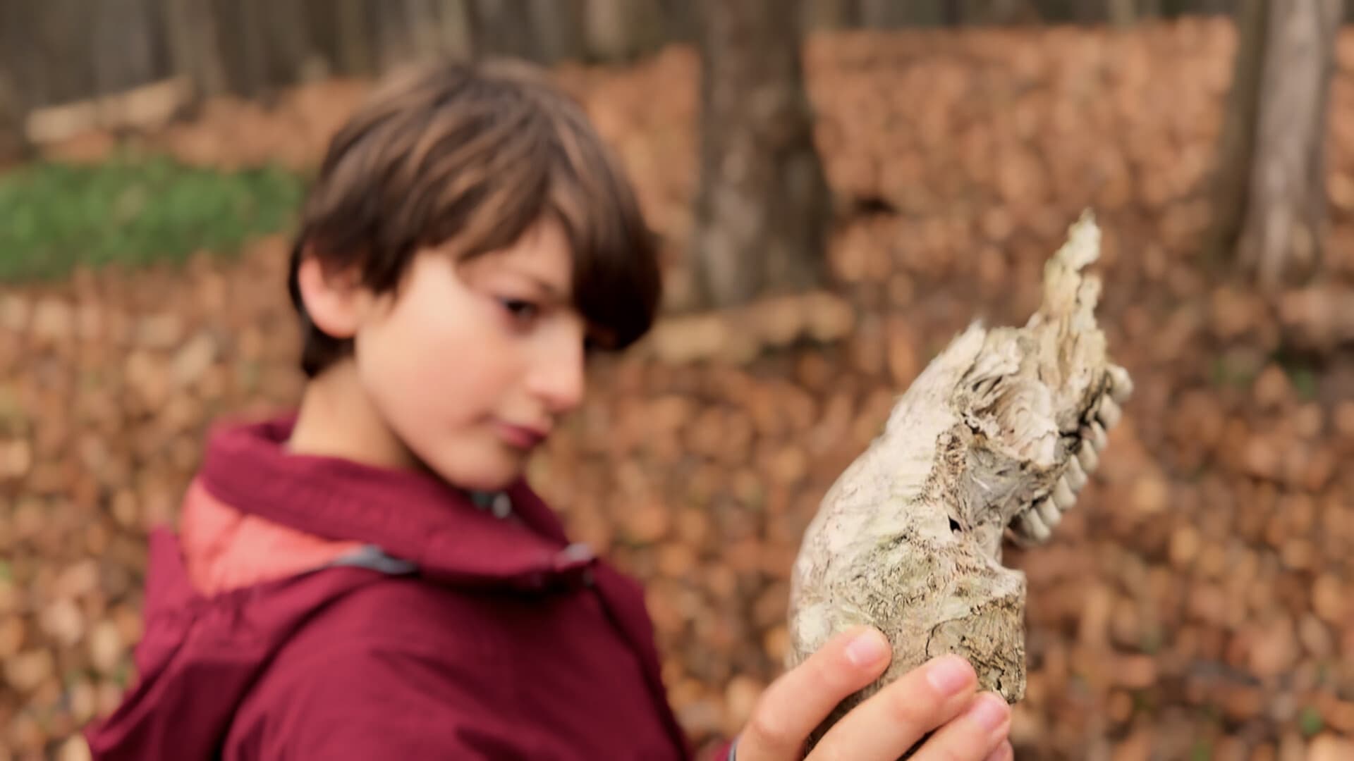 Still from The Deer and the Salt