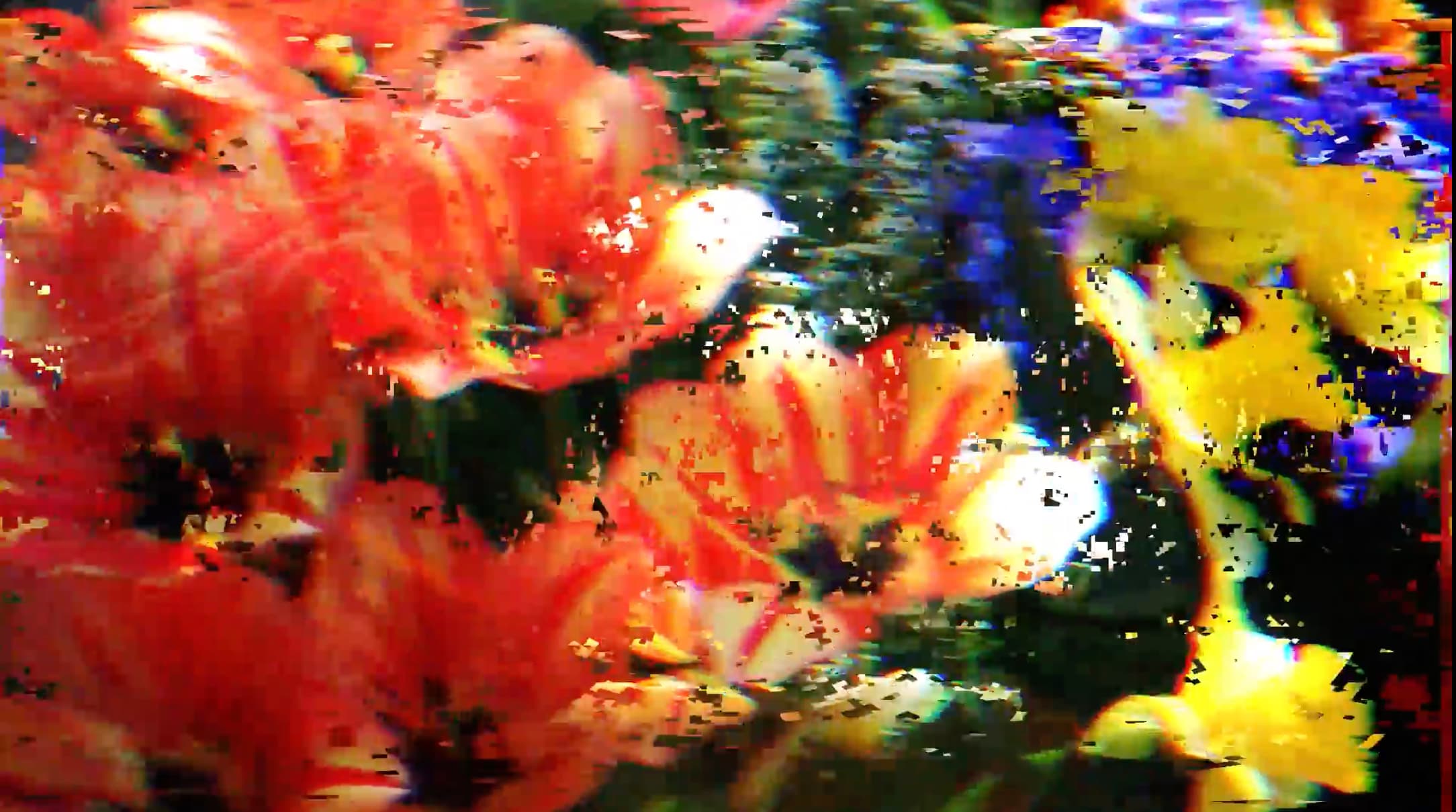 Still from Daylight Star