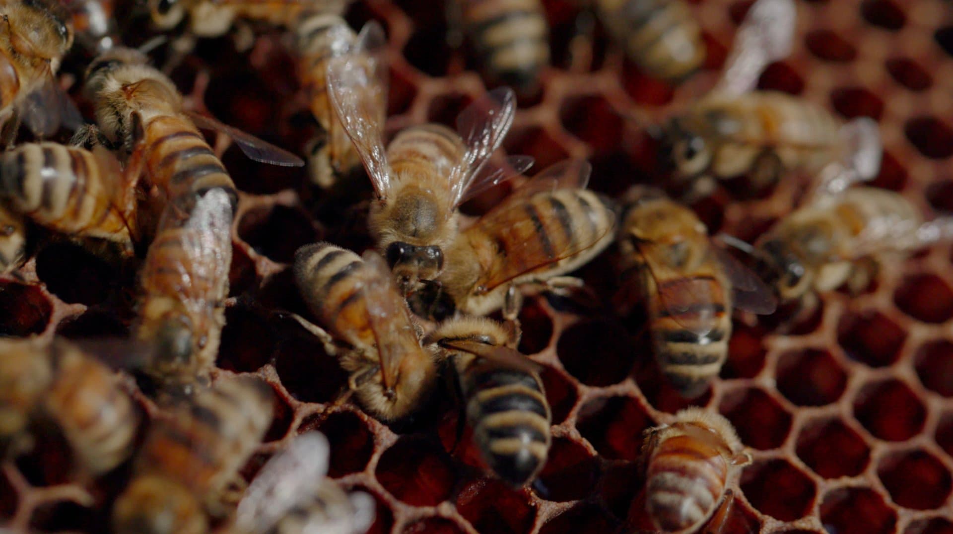 Still from When They're Gone