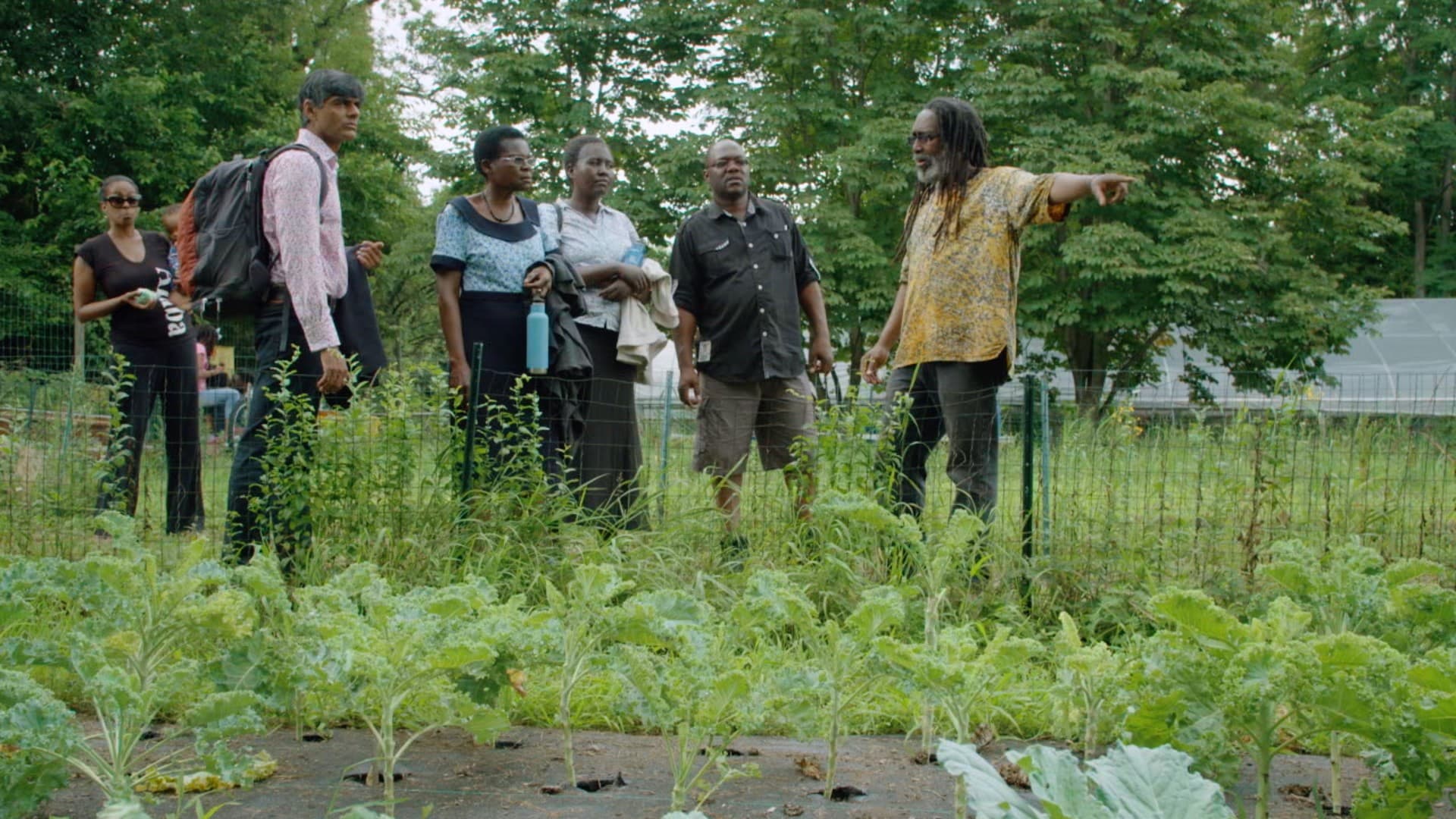 Still from The Ants & The Grasshopper