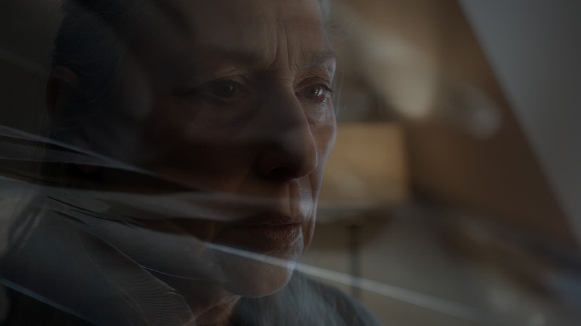 Still from Gone Before Your Eyes