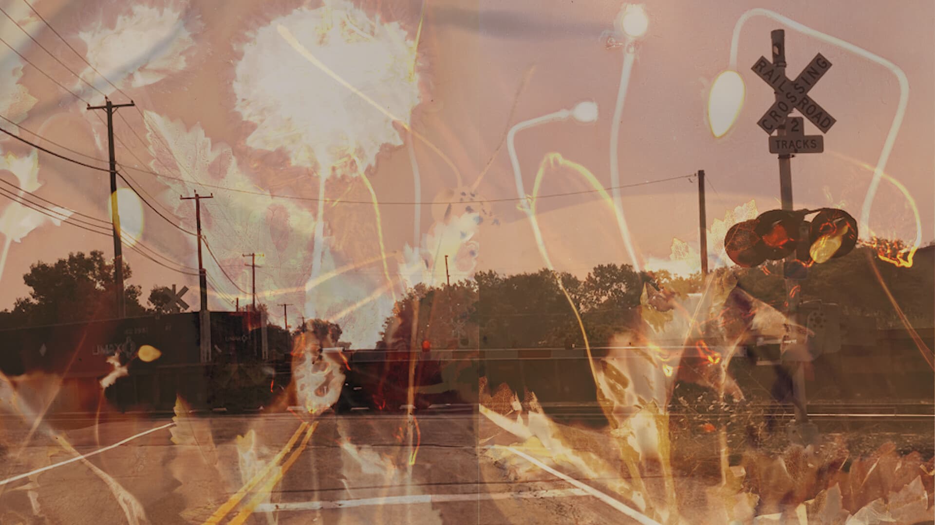 Still from RUSTBELT BUTTERFLY