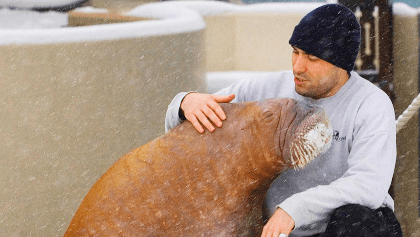 Still from The Walrus and the Whistleblower