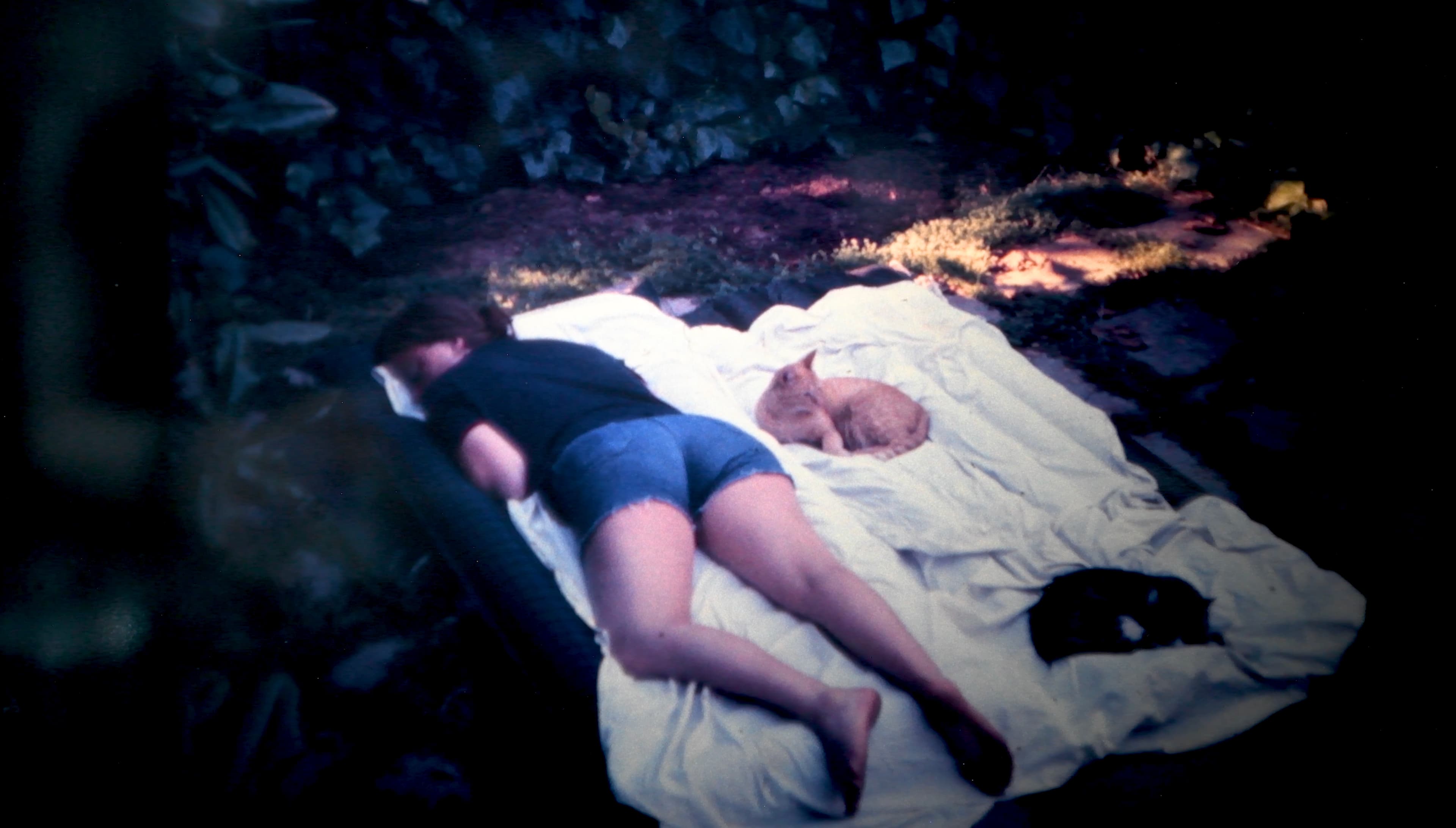 Still from Ideas of Order