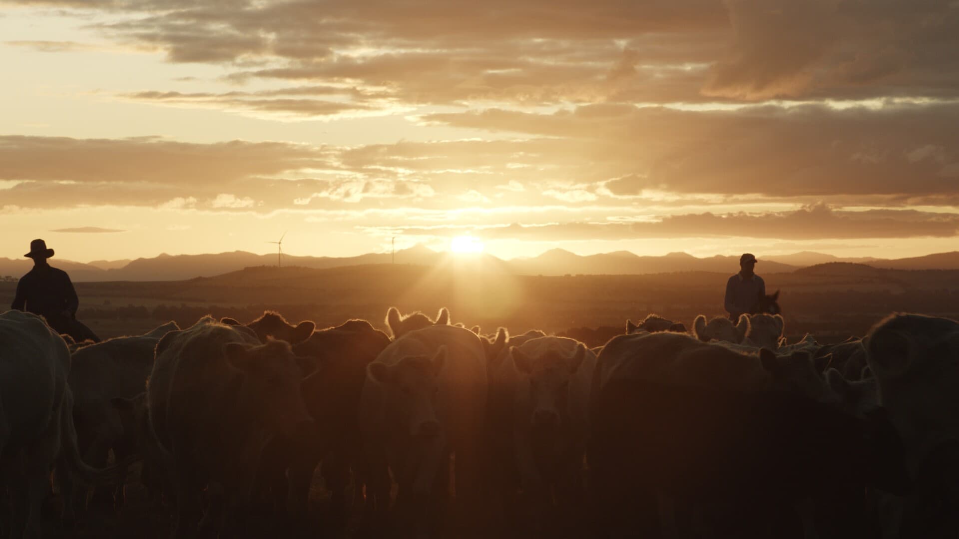 Still from Just a Farmer