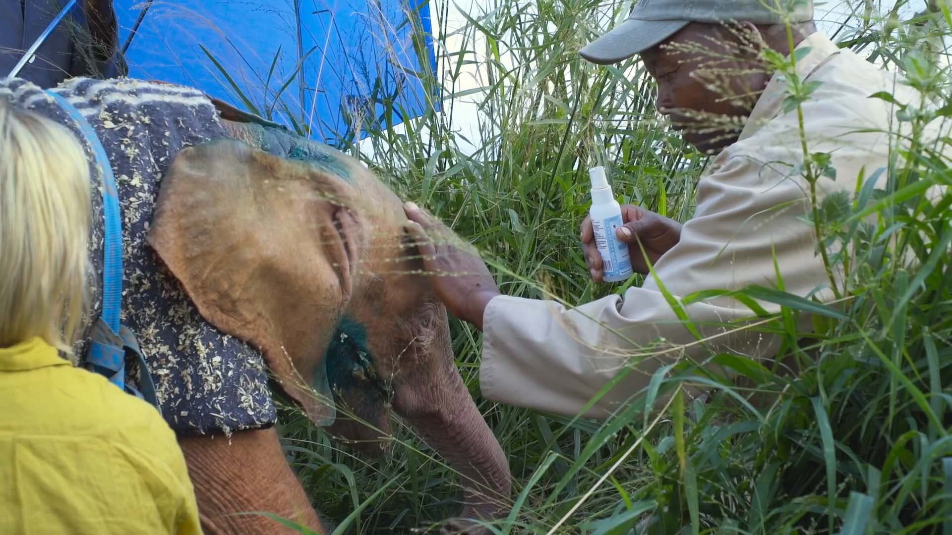 Still from Diary of an Elephant Orphan