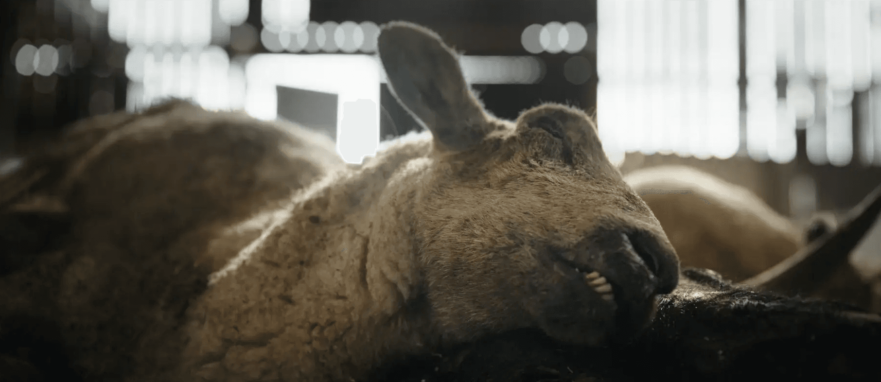 Still from The Cunning Man