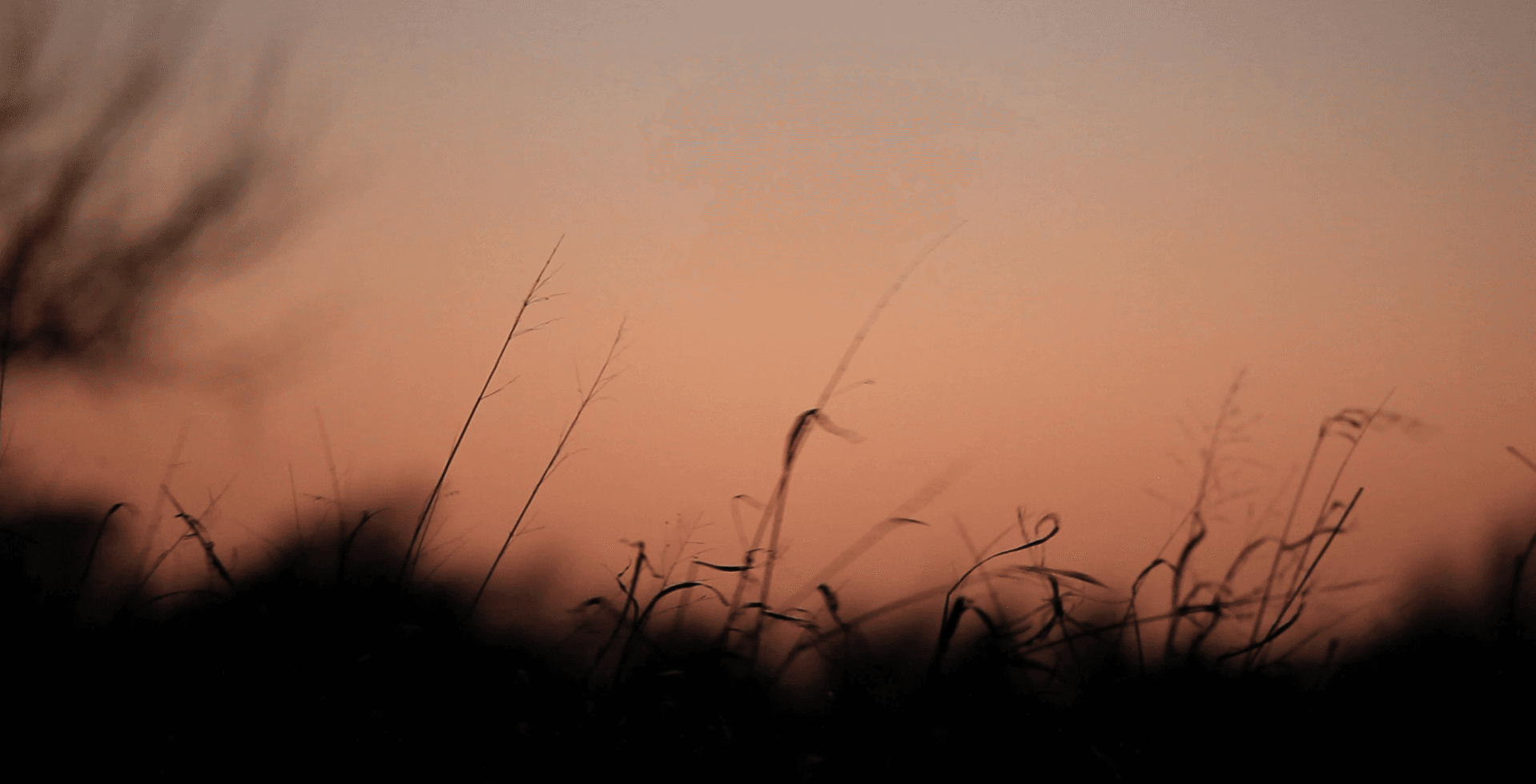 Still from Kansas Ice Storm