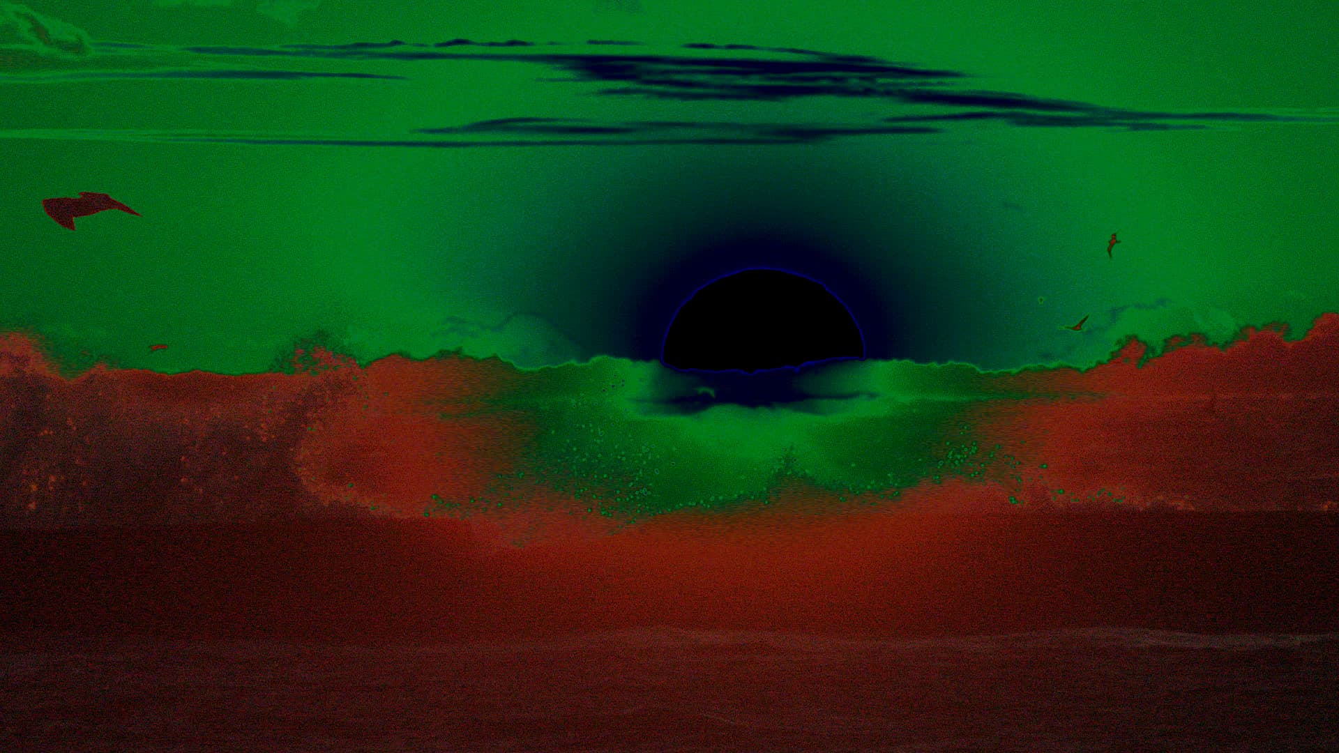 Still from The Sun Also Sets