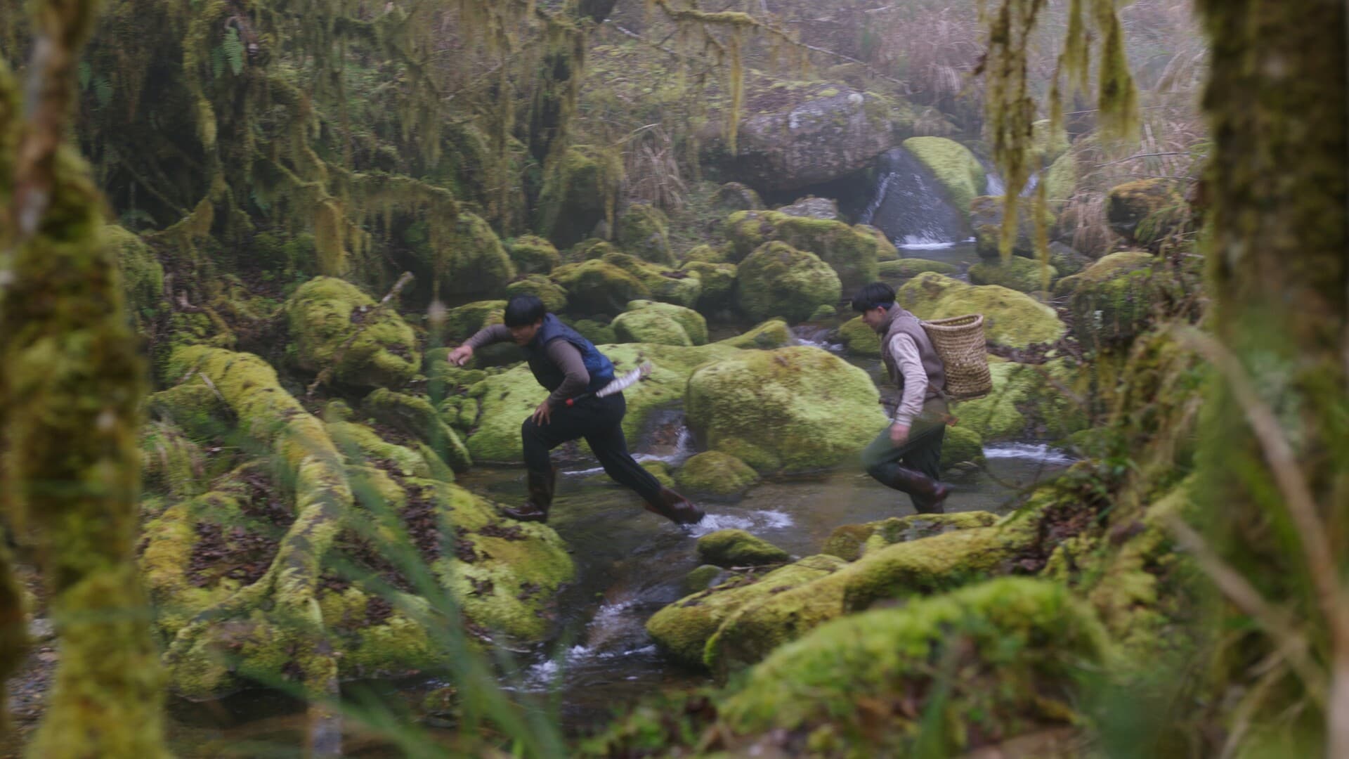 Still from Tayal Forest Club