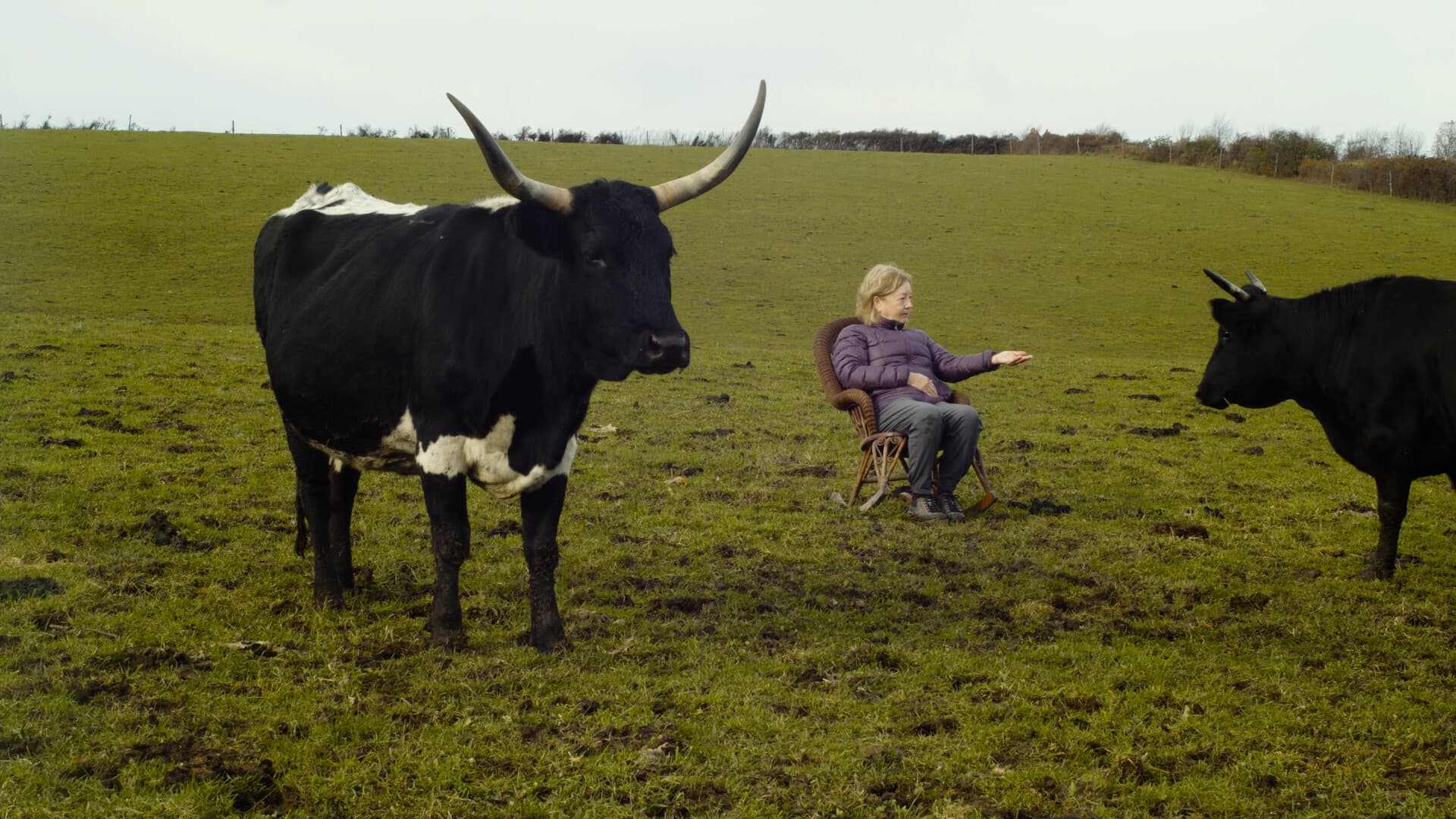 Still from Learning to Dance