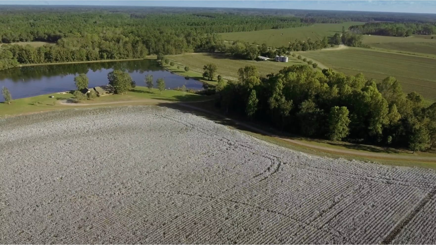 Still from The Only Doctor