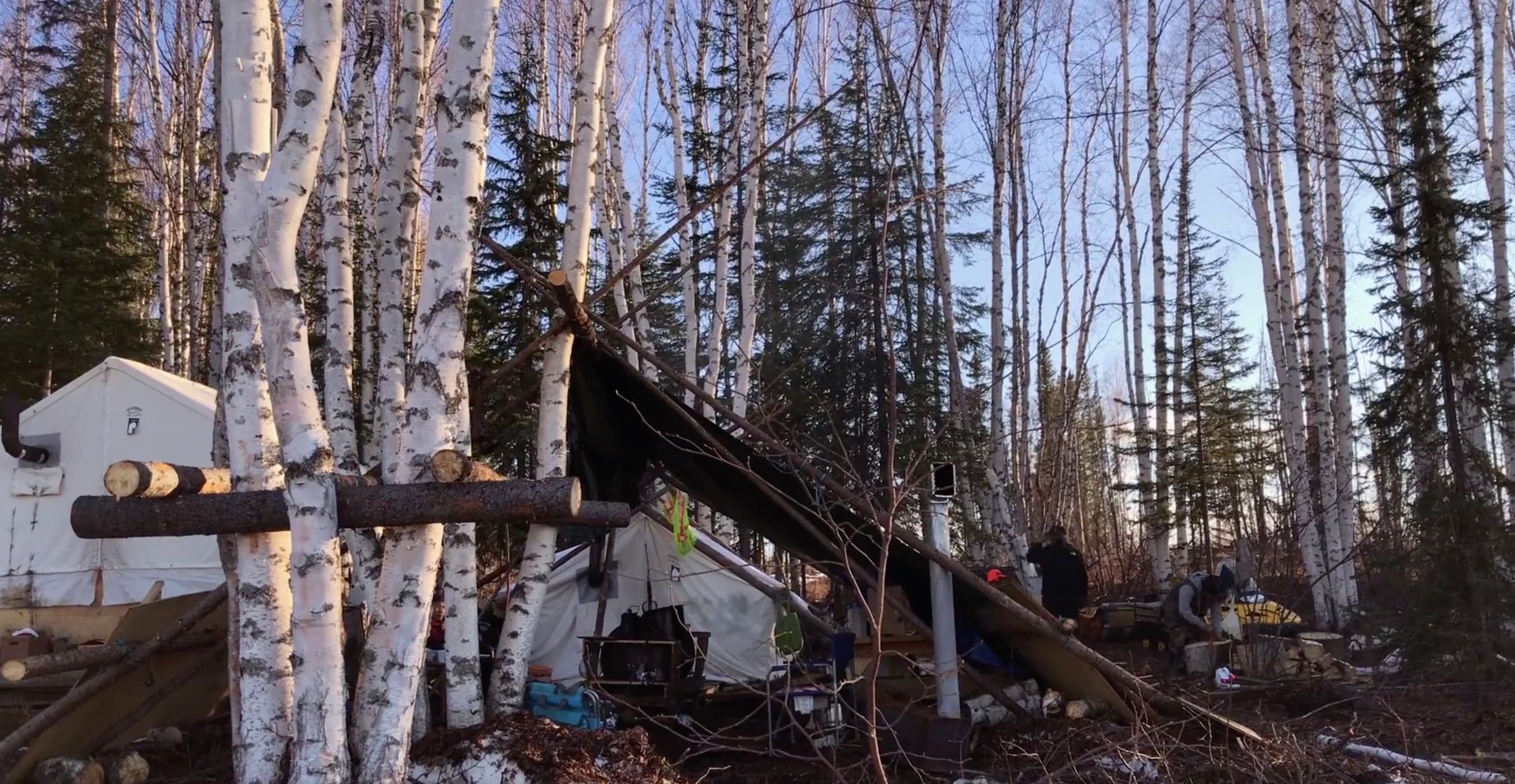 Still from K'i Tah Amongst the Birch