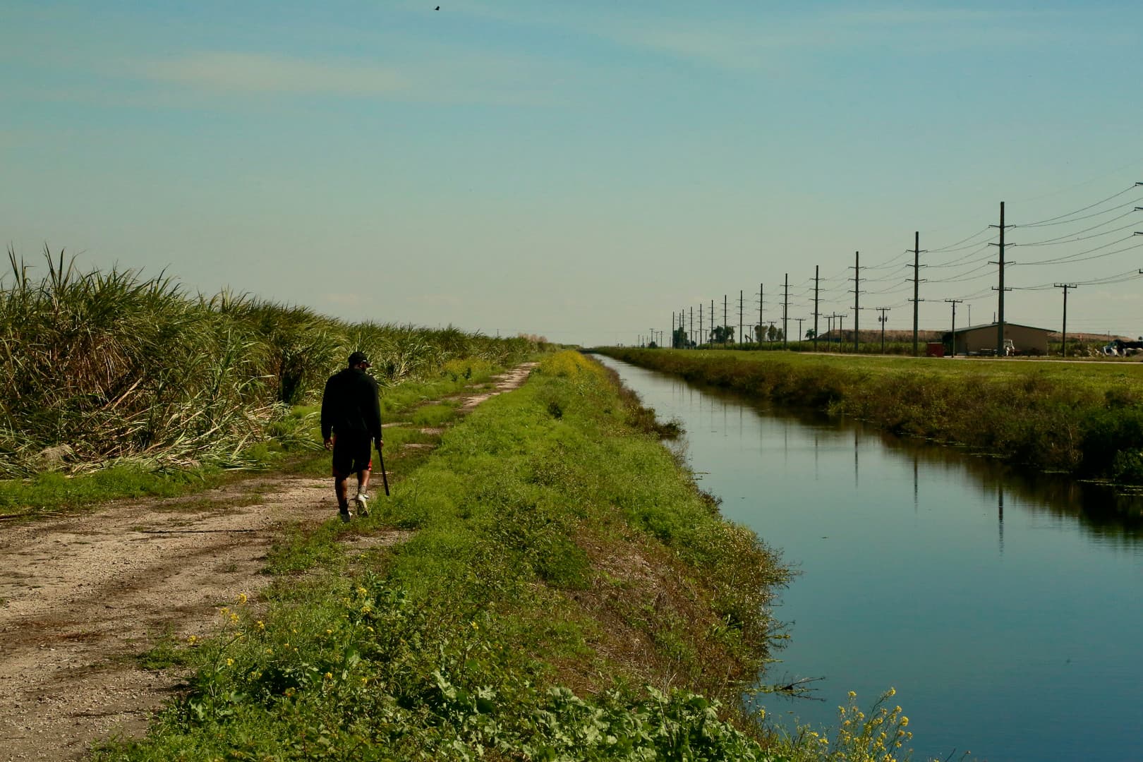 Still from Outta The Muck