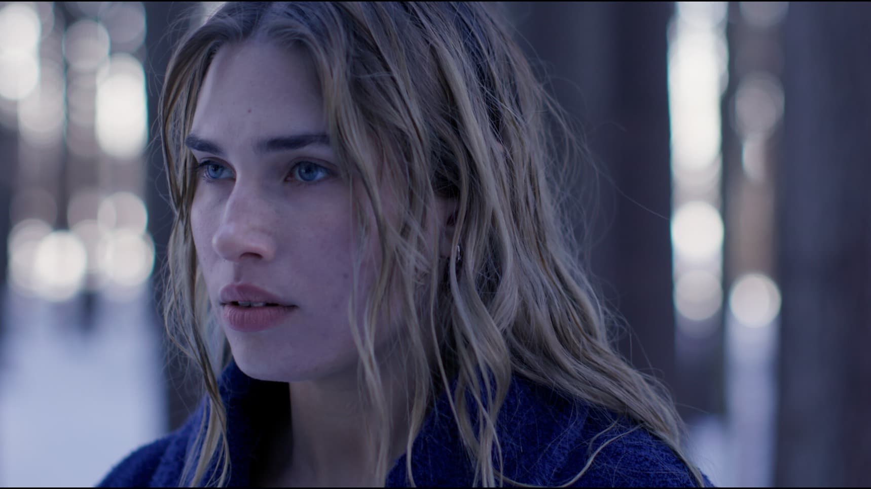 Still from HOLLOW WREN