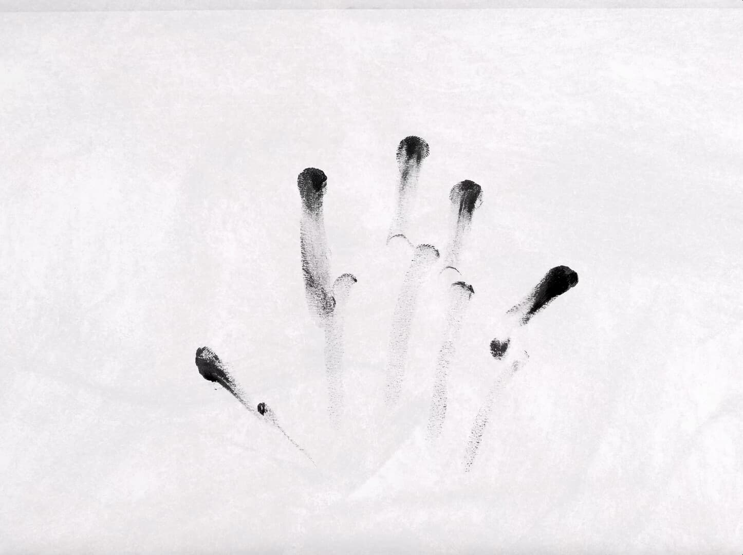 Still from FLORA FAUNA