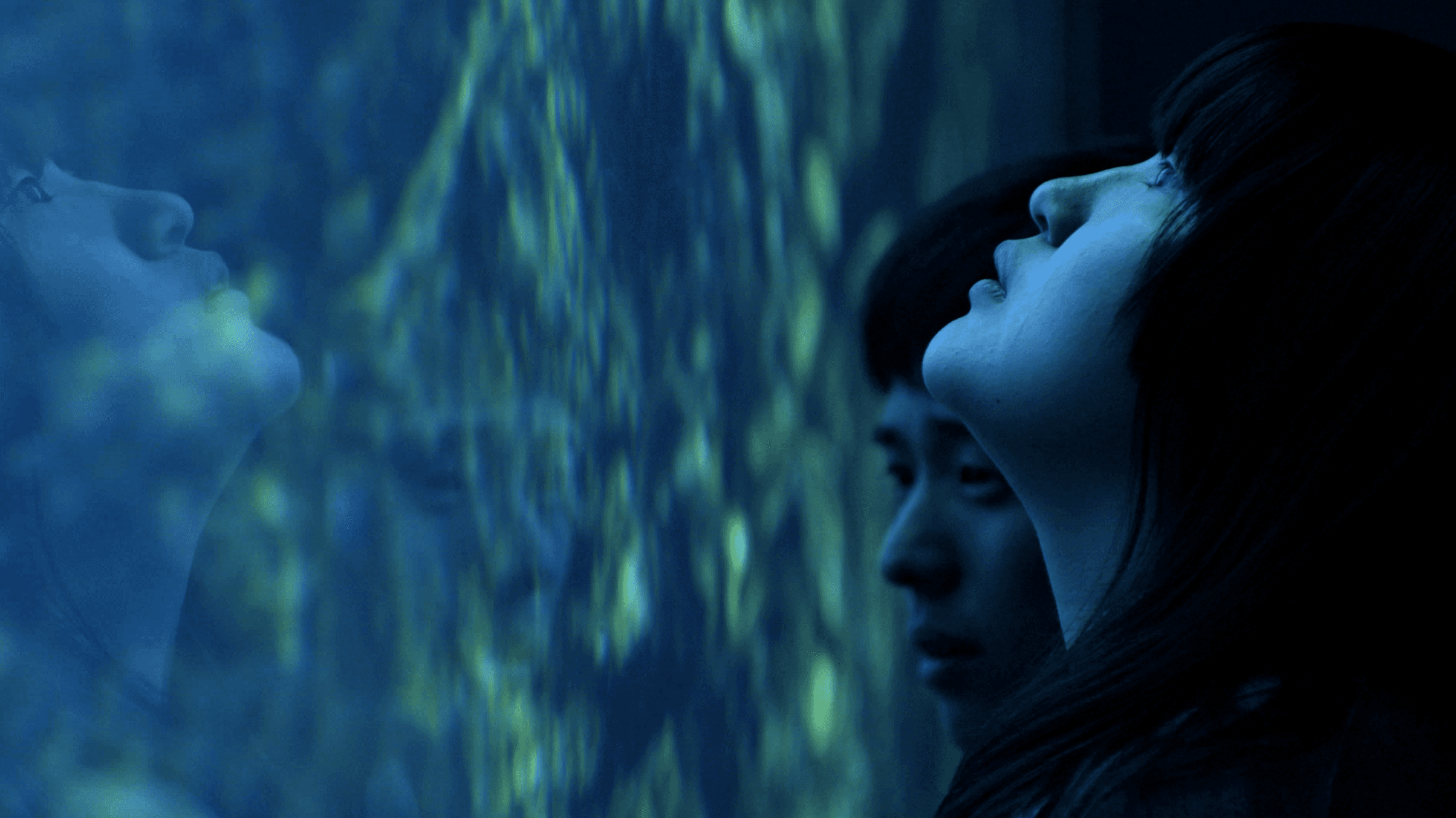 Still from All of Our Heartbeats are Connected Through Exploding Stars