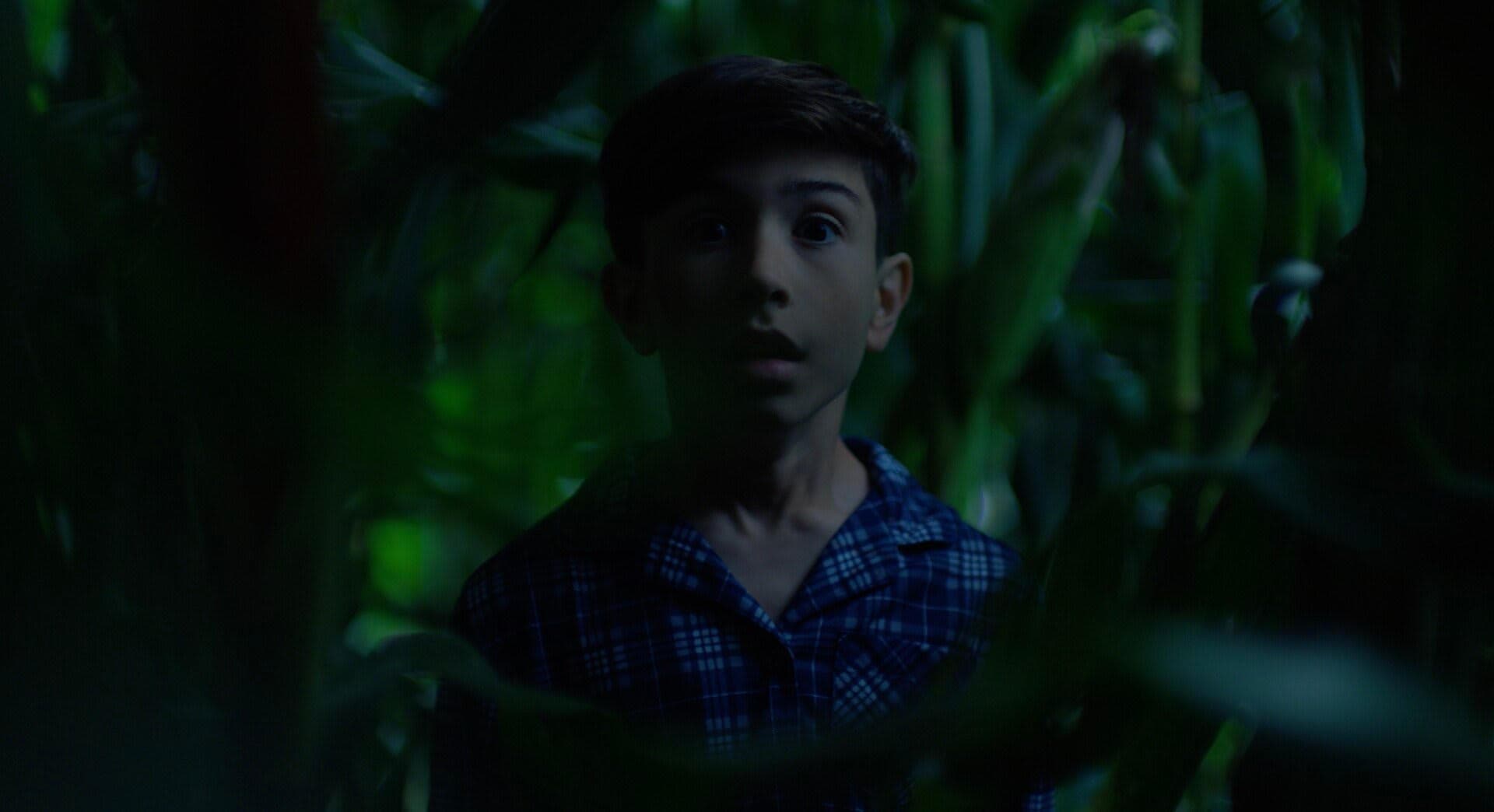 Still from Why Those Crops Grow Taller