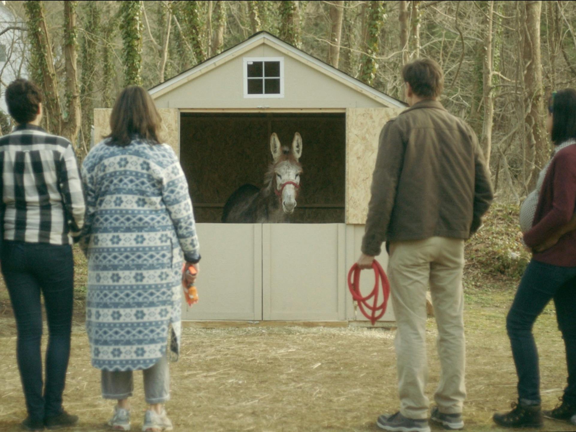 Still from About A Donkey