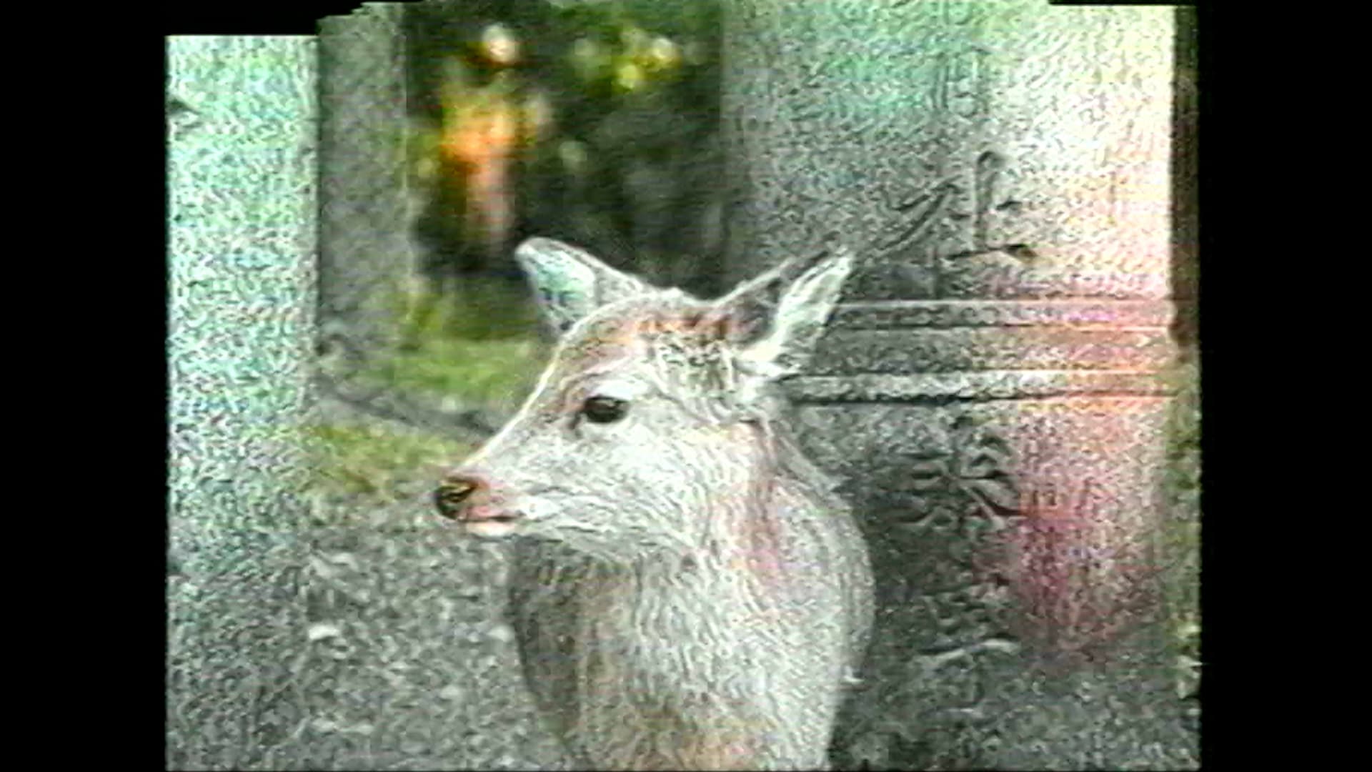 Still from A So Desu Ka