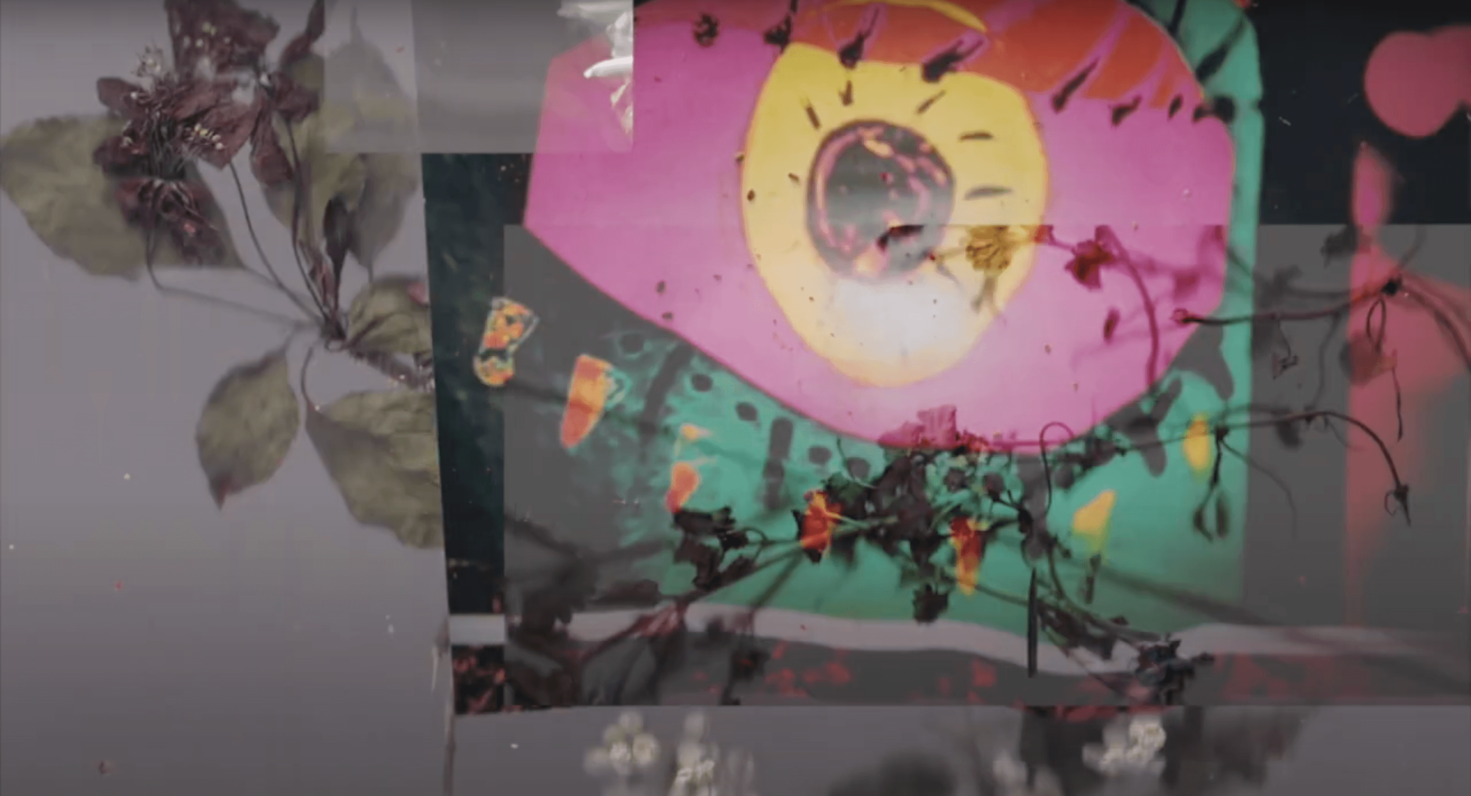 Still from Feminine Screams of a Forced Sagacity