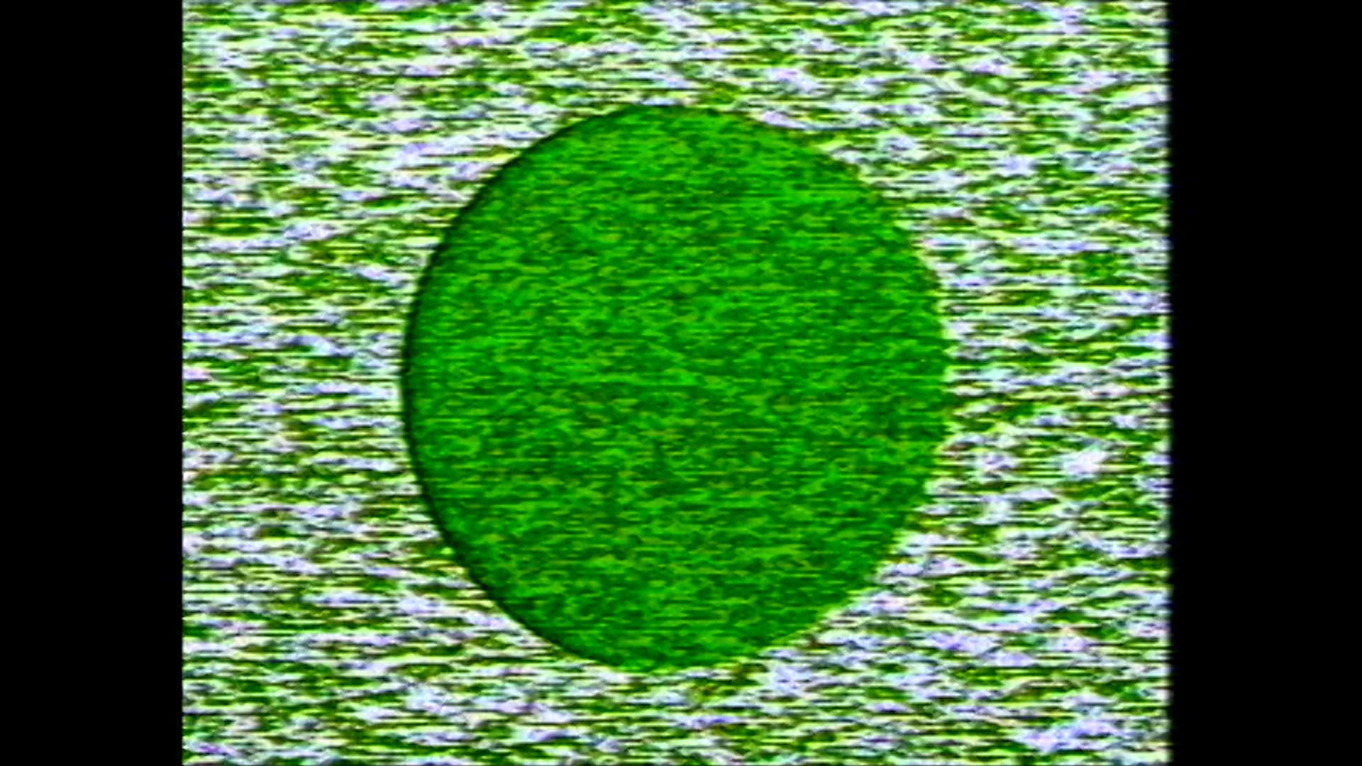 Still from Noisefeilds