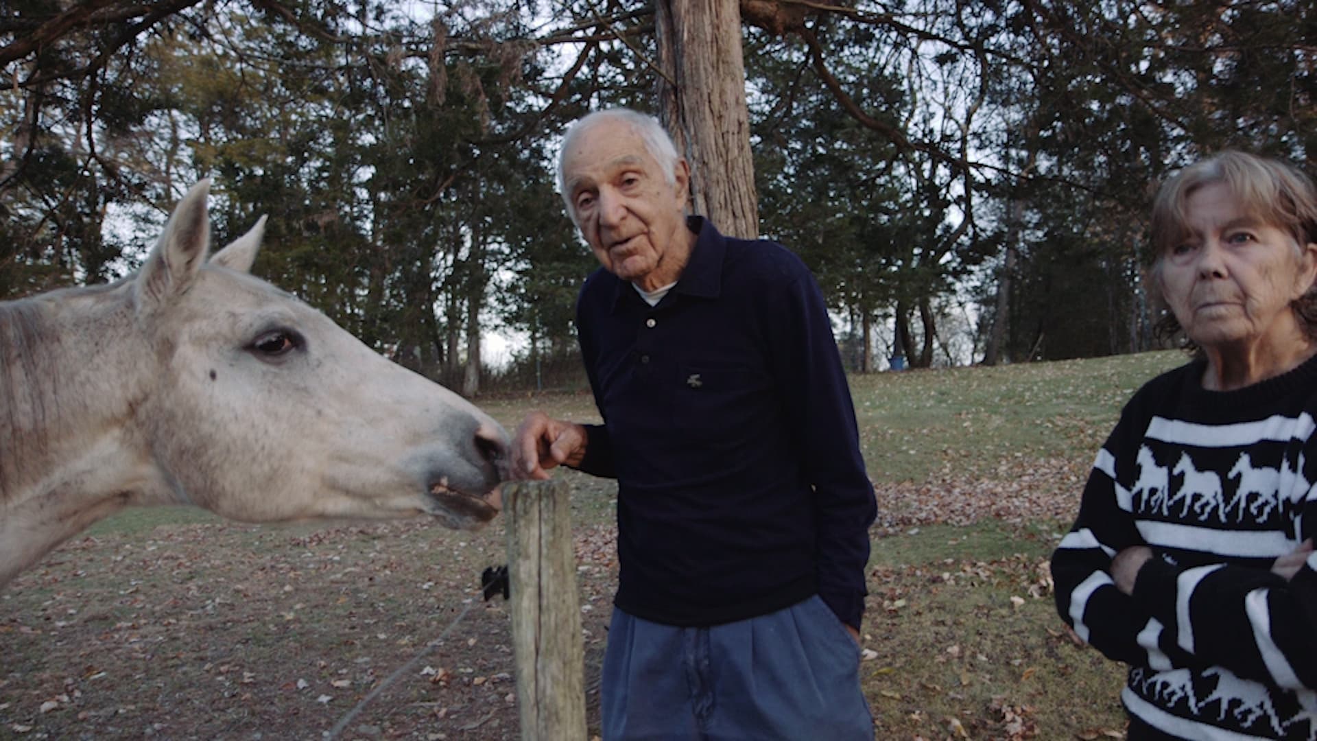 Still from I Like it Here