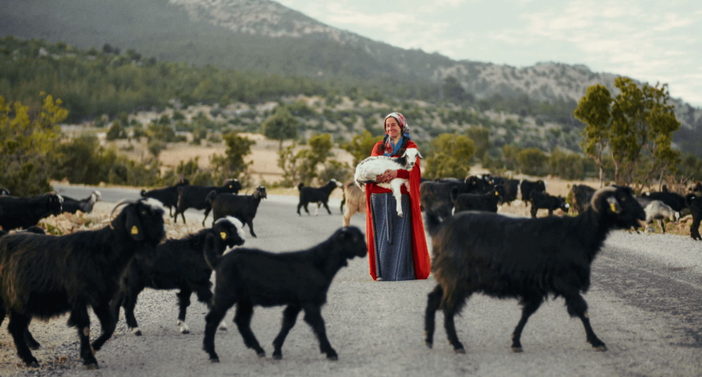 Still from GUARDIANS OF ANATOLIA
