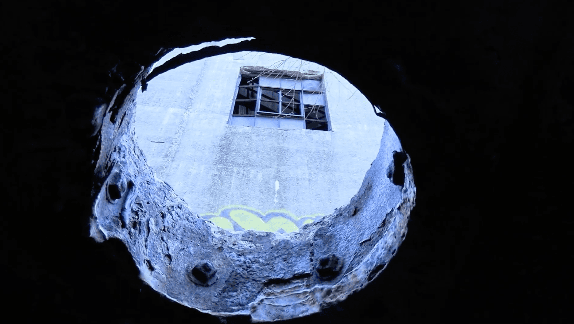 Still from birds fly
