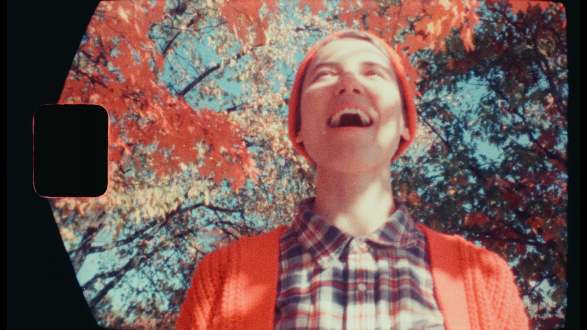 Still from LEAF PEEPER