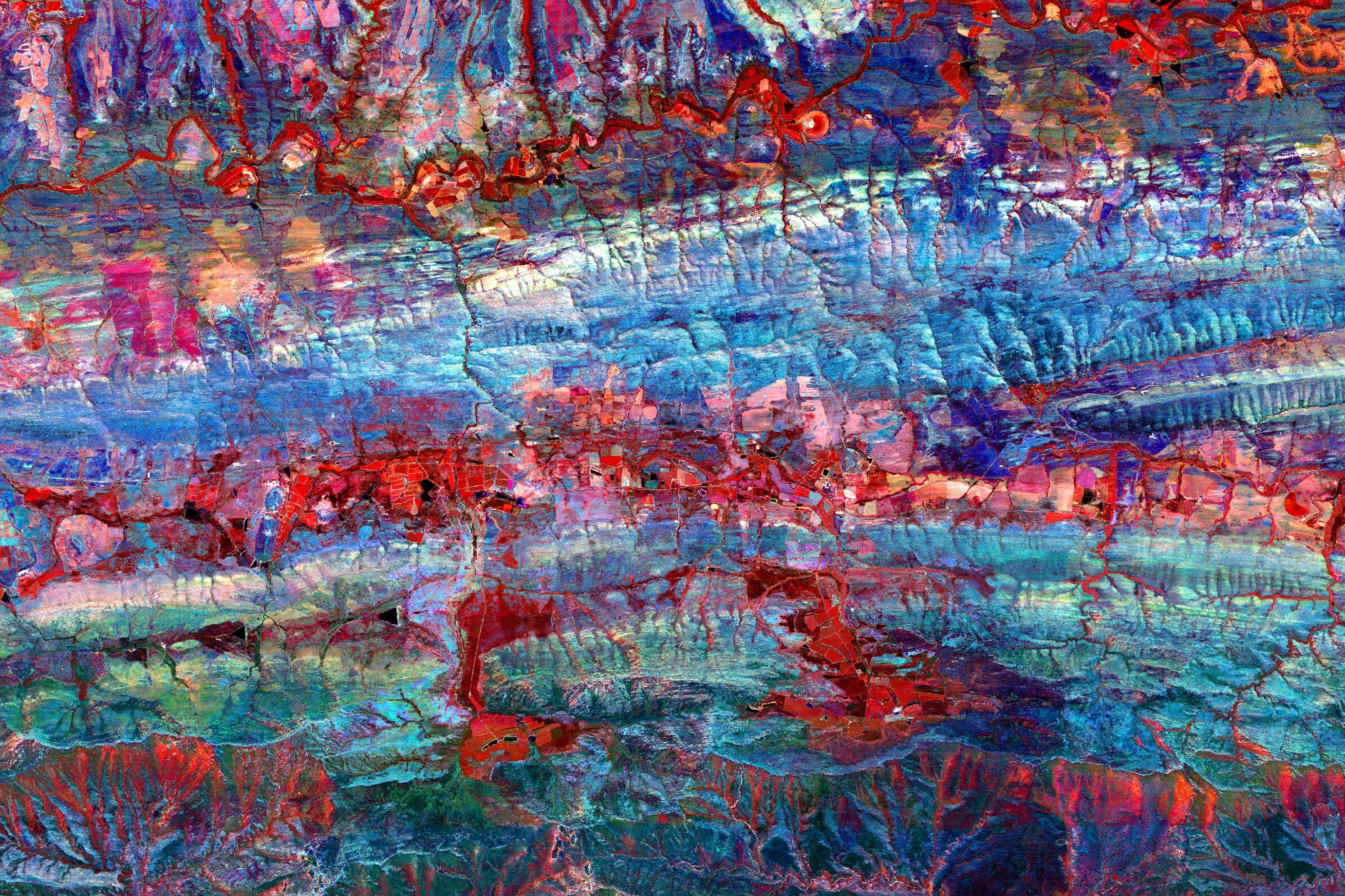 Still from The Spectrum of Life