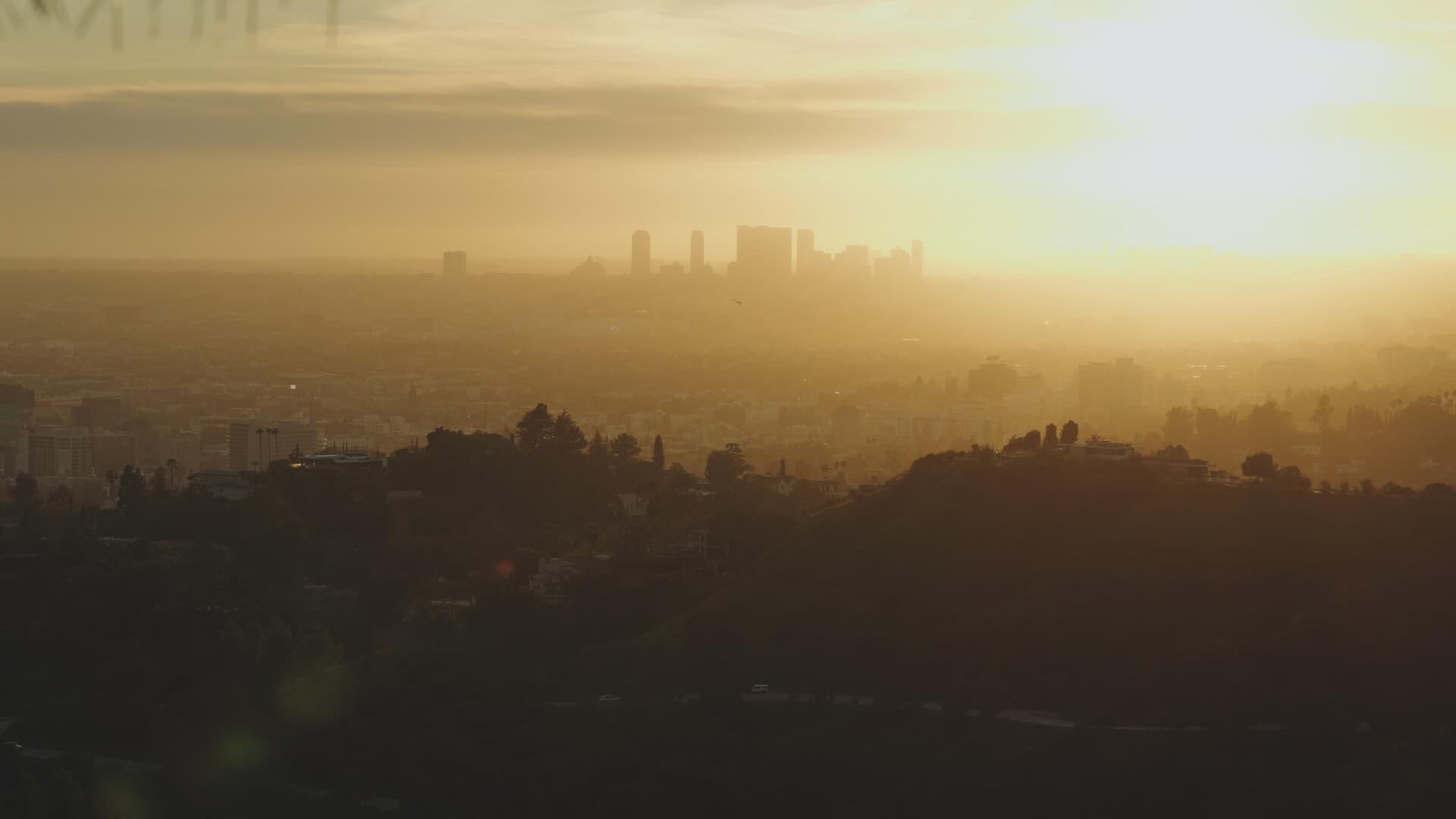 Still from The Lost Legacy of Tony Gaudio